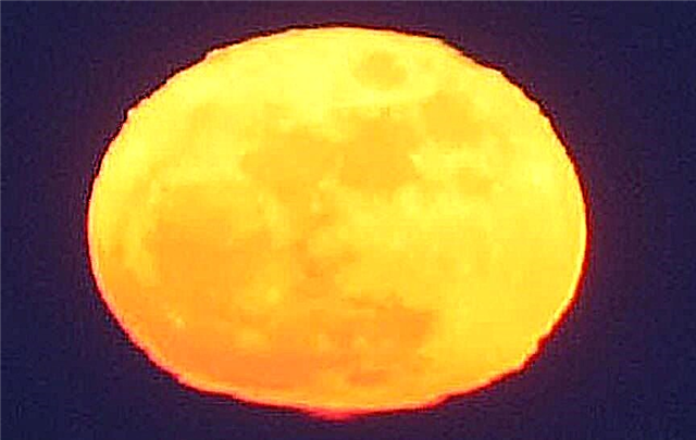 אוגוסט ירח מלא צופה ליקוי הירח הכולל של ספטמבר