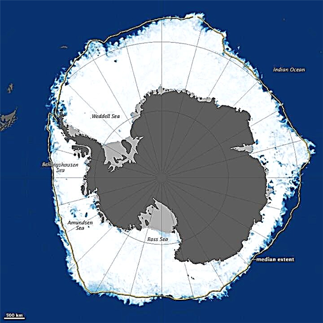 Gelo marinho antártico domina mais do que nunca o oceano