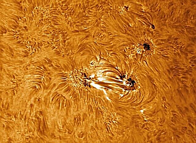 Astrophoto: Groupe de taches solaires géantes sur le soleil