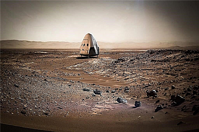Willst du zum Mars ziehen? Ein Hin- und Rückflugticket kostet laut Elon Musk nur 100.000 US-Dollar