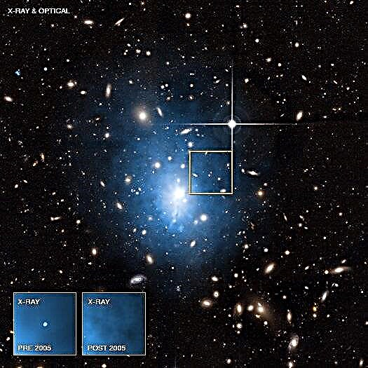 Verdict de Chandra sur la disparition d'une étoile: «Mort par trou noir»