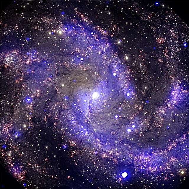 Fluorescente y estrellado: nuevas imágenes del espacio Zinger de los archivos de rayos X de Chandra