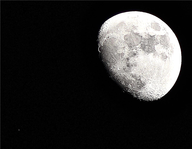 Что такое восковая луна?