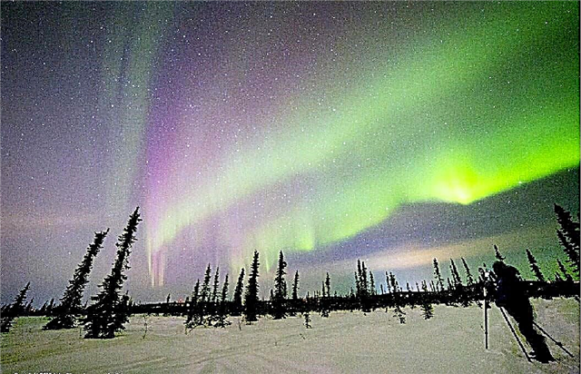 Como você pode ver a aurora boreal?