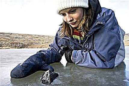 Slike fragmentov kanadskega meteorita
