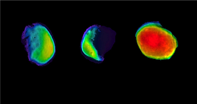 Mars Odyssey rivela Phobos usando THEMIS