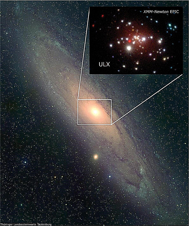 Рентгеновите лъчи разкриват черна дупка на звездна маса в Андромеда