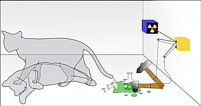 Vad är Schrodingers katt?
