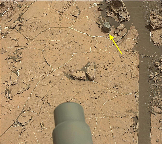 La curiosité découvre une météorite métallique fondue à la surface de Mars
