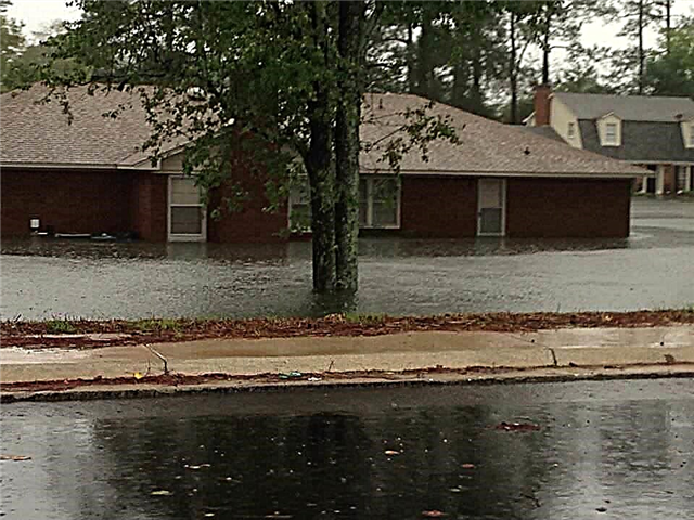 NASA GPM-i laupäevane rekord on Lõuna-Carolinale surmav '1000-aastane vihm' Nor'easterist ja Joaquinist