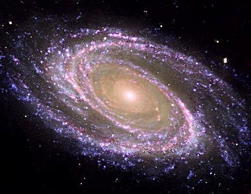 Creați-vă propriul Galaxy Mashup cu noul instrument Zoo Galaxy