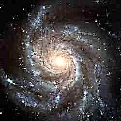 Hubble-porträtt av Pinwheel Galaxy