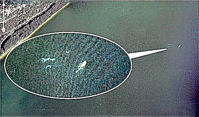 وحش بحيرة لوخ نيس على Google Earth؟