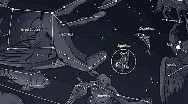 A constelação de Equuleus