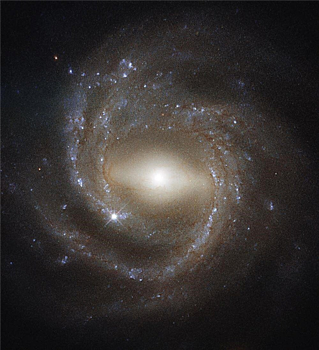 Perfektes Beispiel einer Barred Spiral Galaxy, von Angesicht zu Angesicht gesehen. So könnte unsere Milchstraße aussehen