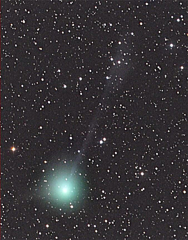 Con la cabeza en alto, el cometa Lovejoy hace la zambullida polar
