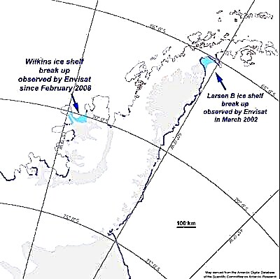 Wilkins Ice Shelf en peligro