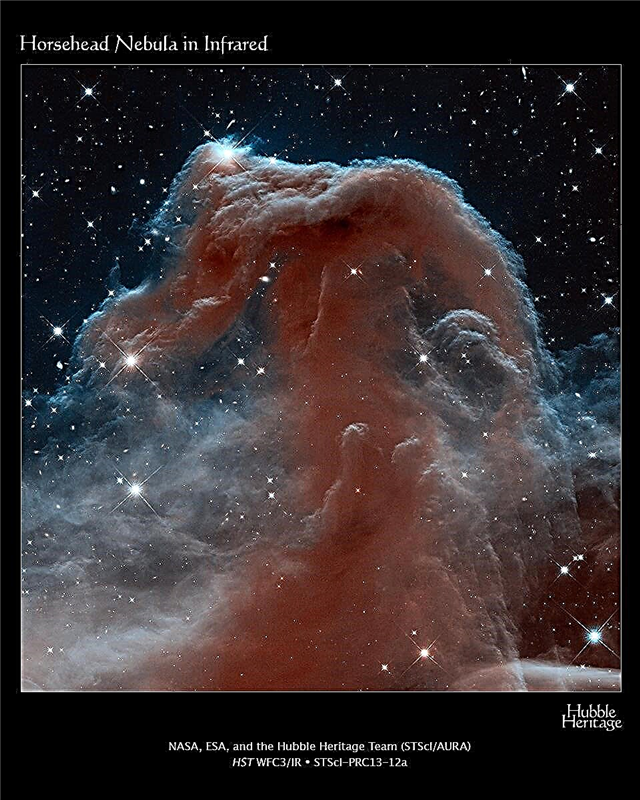 Et nytt blikk på Horsehead-tåken for Hubbles 23-årsjubileum