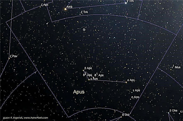 La constellation Apus