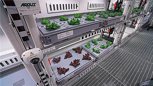 将来の宇宙飛行士は自律軌道温室からの新鮮な野菜を楽しむことができます