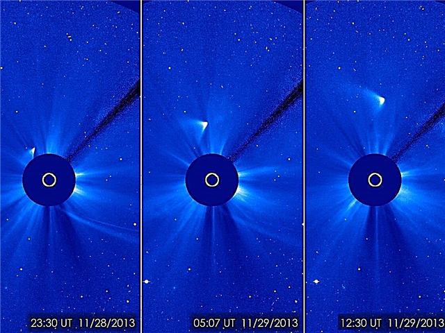 Zombie ISON 'Behaving Like A Comet', sier forbausede astronomer