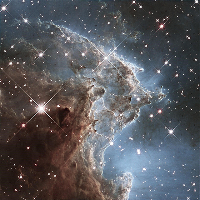 Hubble capture Starbirth dans la tête d'un singe alors que le télescope approche de 24 ans dans l'espace