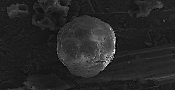 Воздействие астероида создало всемирный дождь из углеродных шариков