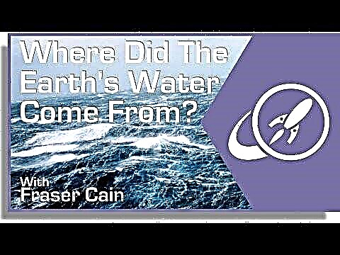 ¿De dónde vino el agua de la Tierra?