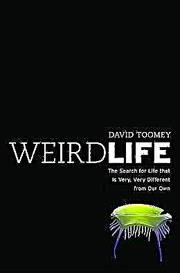 Dovanos: Keistas gyvenimas: Ieškokite gyvenimo, kuris labai, labai skiriasi nuo mūsų pačių, - David Toomey