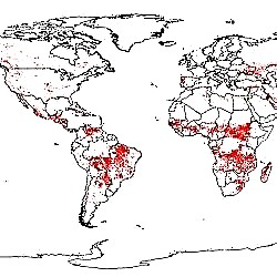 Online globalt kort over skovbrande