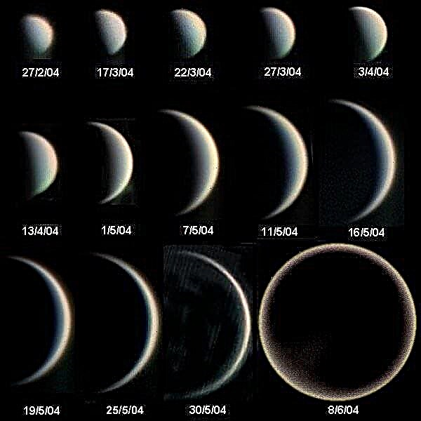 Faser av Venus