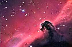 Astrofoto: La Nebulosa de la Cabeza de Caballo por Filippo Ciferri