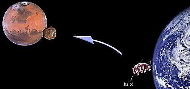 Rusland zal leven naar Phobos sturen