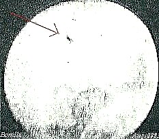 ¿Fue el "primer ovni fotografiado" un cometa? - Revista espacial