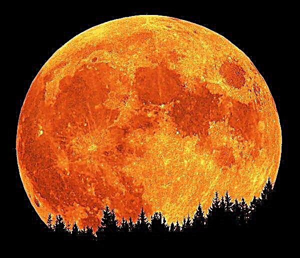 ما هو قمر هنتر؟
