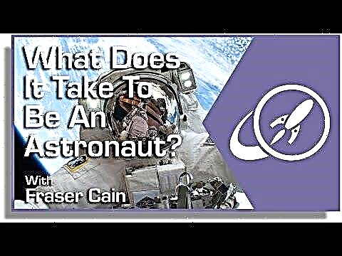 Ko reikia norint būti astronautu?