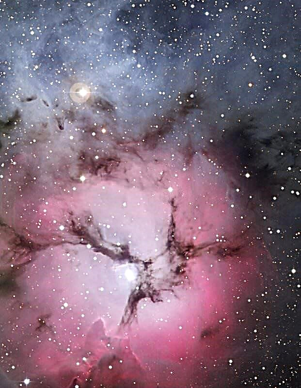Nuevas imágenes revelan detalles de la nebulosa trífida