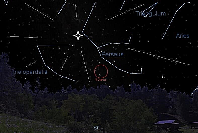 O Perseid Meteor Shower 2013: Guia de um Observador