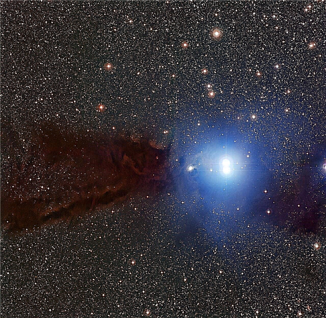 暗い星雲が星の誕生を隠す
