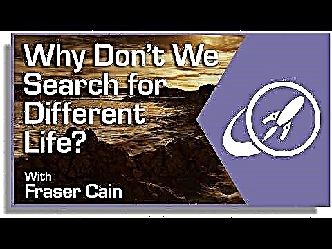 Waarom zoeken we niet naar ander leven?