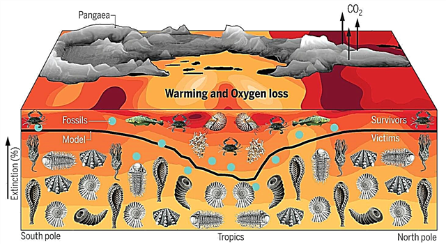 ارتفاع سريع في درجة الحرارة أدى إلى الانقراض الأسوأ في تاريخ كوكبنا