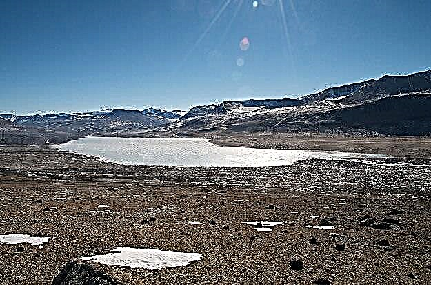 في بحيرة معزولة ومغطاة بالجليد بعيدة عن التجمد ، وجدت الحياة
