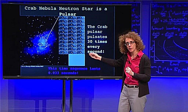 Ensimmäinen nainen, joka on koskaan voittanut Kanadan parhaan tiedepalkinnon, on astrofysiikko Victoria Kaspi