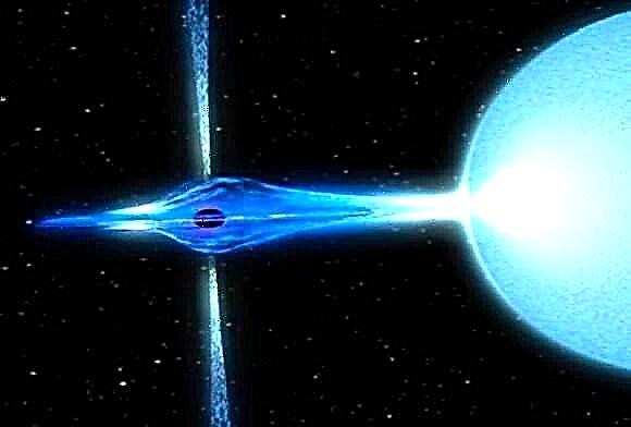 Celebrul binar Cygnus-X1 afișează emisii polarizate în primul rând