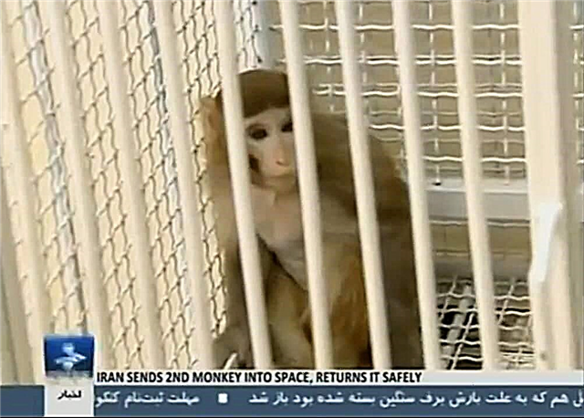 Druhá opice bezpečně cestuje do vesmíru a zpět, hlásí Írán