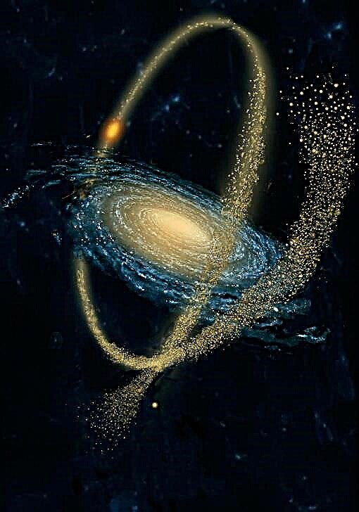Herculeso palydovas - galaktikos pereinamoji fosilija