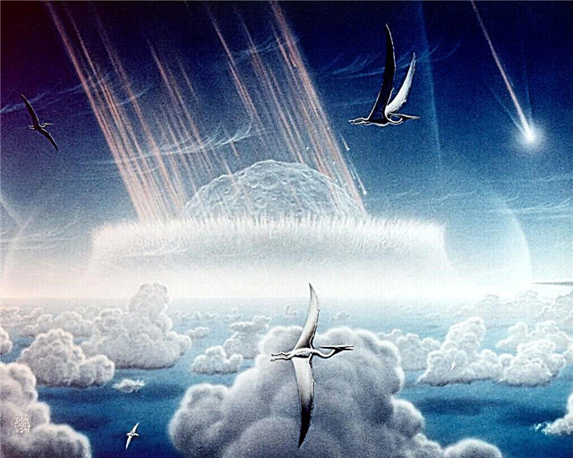 Dinosaurus doden Asteroïde raakte de aarde op precies de verkeerde plek