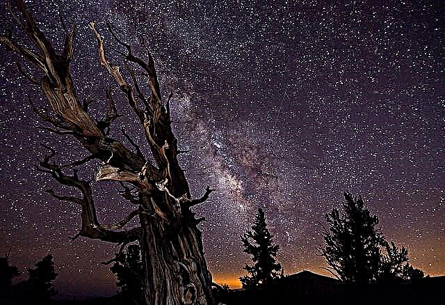 Impresionantes imágenes de aficionados ganan en el concurso de fotógrafo de astronomía del año