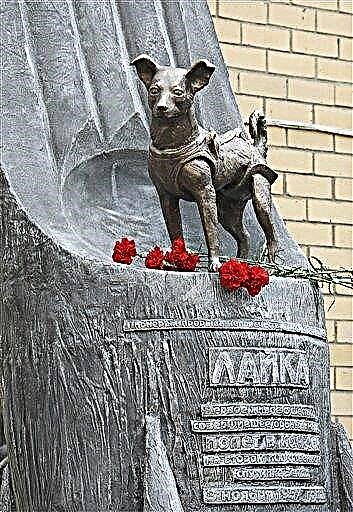 Ruský památník kosmického psa Laika (aktualizace)