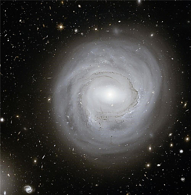מבט עמוק של האבל על גלקסיית "פלאפי" הבלתי רגילה - מגזין החלל